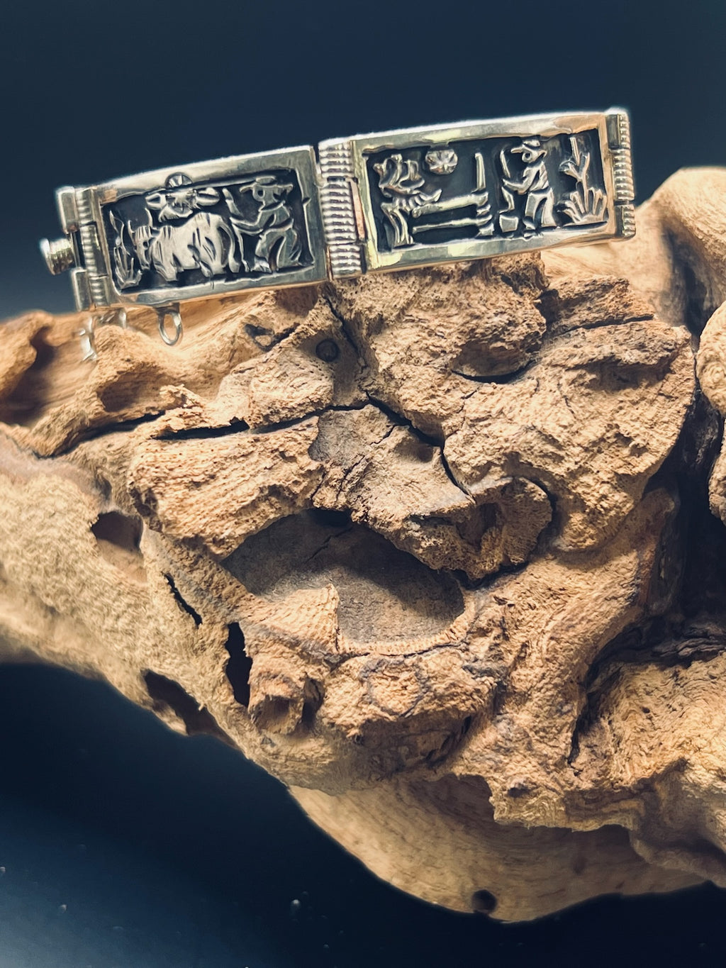 Sterling silver story panel bracelet. The two visible panels depict a farmer mending a fence next to a cactus, and a farmer next to his bull, under the sun. The bracelet balances on top of a gnarled vine. It is in front of a plain black background.